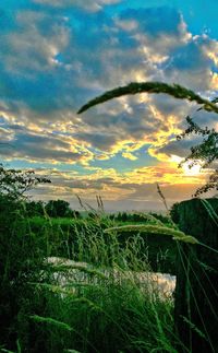 Scenic view of field against cloudy sky