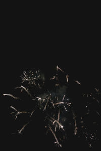 Firework display at night