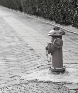 Fire hydrant with street background