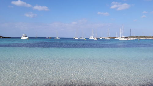 Sailboats sailing on sea against sky