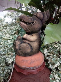 Close-up of statue in garden