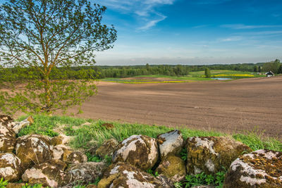 Landscape of spring fields of estonia. high quality photo