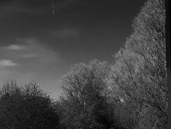 Low angle view of trees against cloudy sky