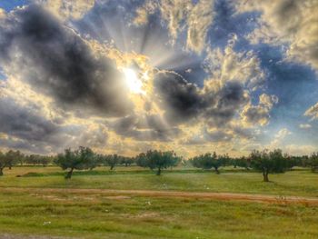 Scenic view of field against sky