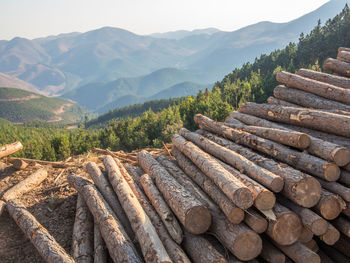 Stack of logs against mountains