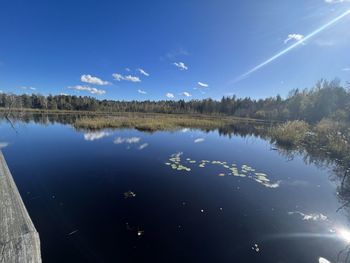 reflection