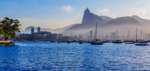 Sailboats in sea by city against sky