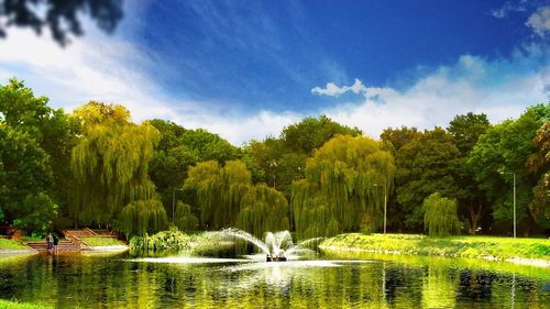 Scenic view of lake with trees in background