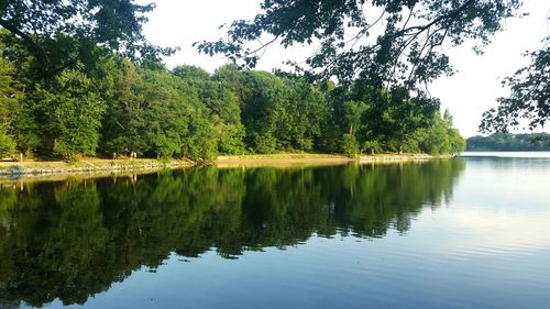 Scenic view of lake by trees against sky