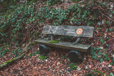 Empty bench in park during autumn