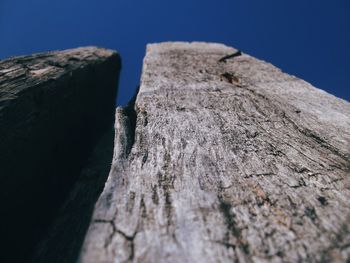 Close-up of wood against clear sky