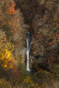 View of waterfall in forest during autumn