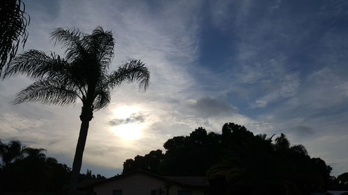 Low angle view of trees against cloudy sky