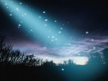 Low angle view of silhouette trees against sky at night