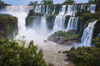 View of waterfall in forest