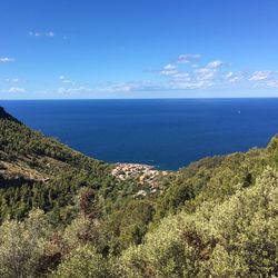 Scenic view of sea against blue sky