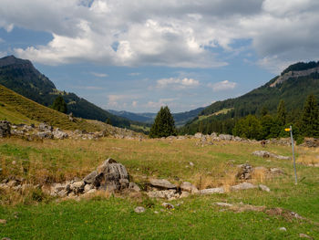 Scenic view of landscape against sky