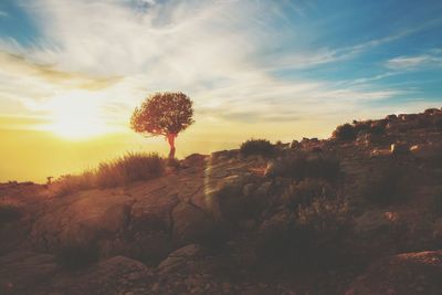 Scenic view of landscape against sky during sunset