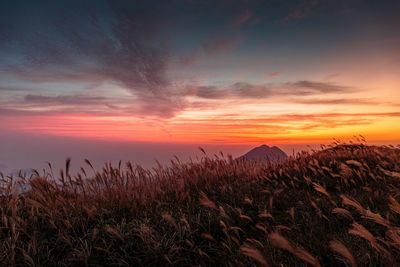 Scenic view of field against romantic sky at sunset