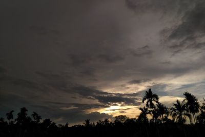 Low angle view of silhouette trees against sky during sunset