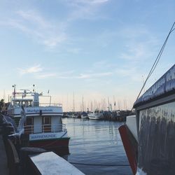 Boats in harbor