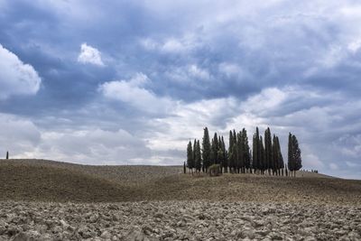 Scenic view of field against cloudy sky