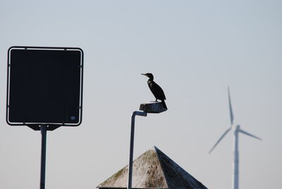 Low angle view of bird perching on smart phone against sky