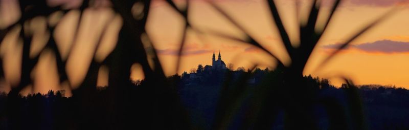 Silhouette of trees and buildings during sunset