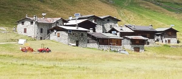 Houses on farm against buildings