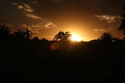 Silhouette trees against sky during sunset