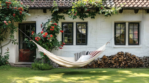 Low angle view of tree in yard