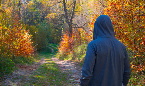 Rear view of man walking in forest