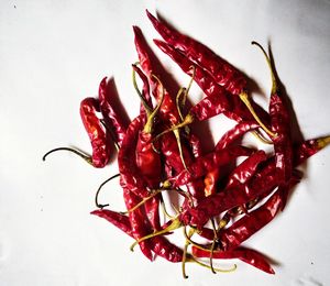 Close-up of red chili pepper against white background