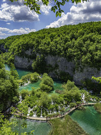 Scenic view of river amidst trees in forest against sky