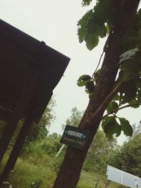 Low angle view of sign against tree against sky