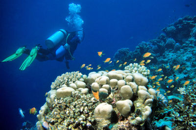 Close-up of man swimming in sea