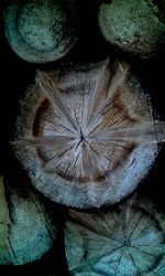 Close-up of object on wall