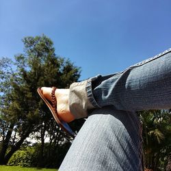 Midsection of woman on tree against sky