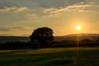 Scenic view of field against sky during sunset