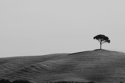 Scenic view of field against clear sky