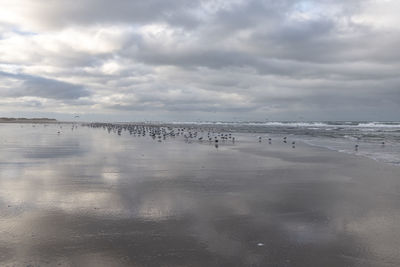 Scenic view of beach against sky