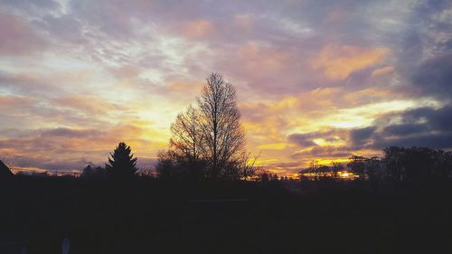 Silhouette of trees against cloudy sky