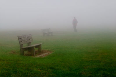 View of grassy field in foggy weather