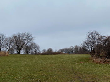 Trees on field against sky