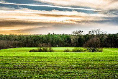 Scenic view of grassy field against cloudy sky