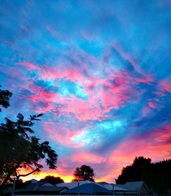 Low angle view of silhouette trees against dramatic sky