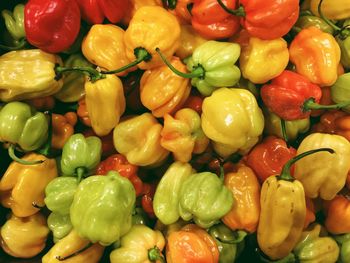 Full frame shot of bell peppers for sale in market