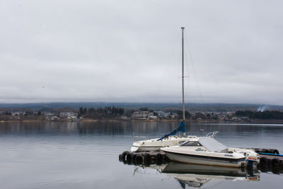 Sailboats moored at harbor against sky