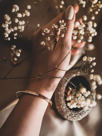 Close-up of hand holding plant