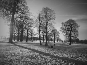 Bare trees on landscape against sky